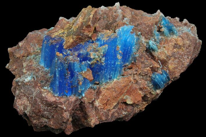 Vibrant Blue Chalcanthite - Planet Mine, Arizona #176426
